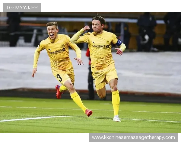 赖斯以队长身份夺冠的欧协联征程解析