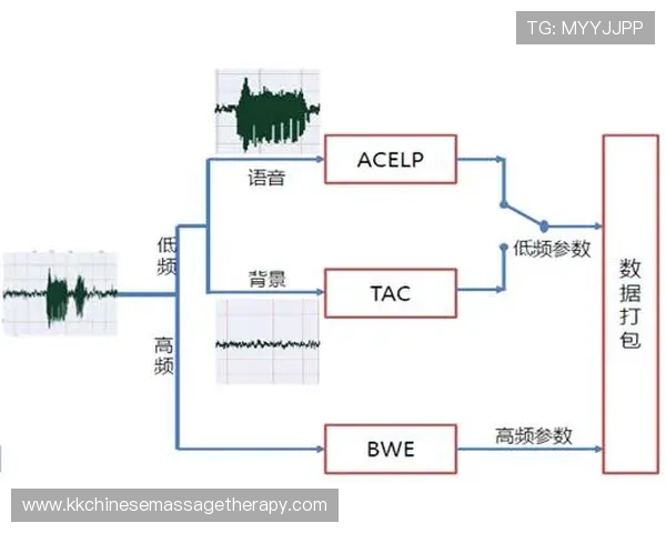 佩德里技术特点与成长天花板分析